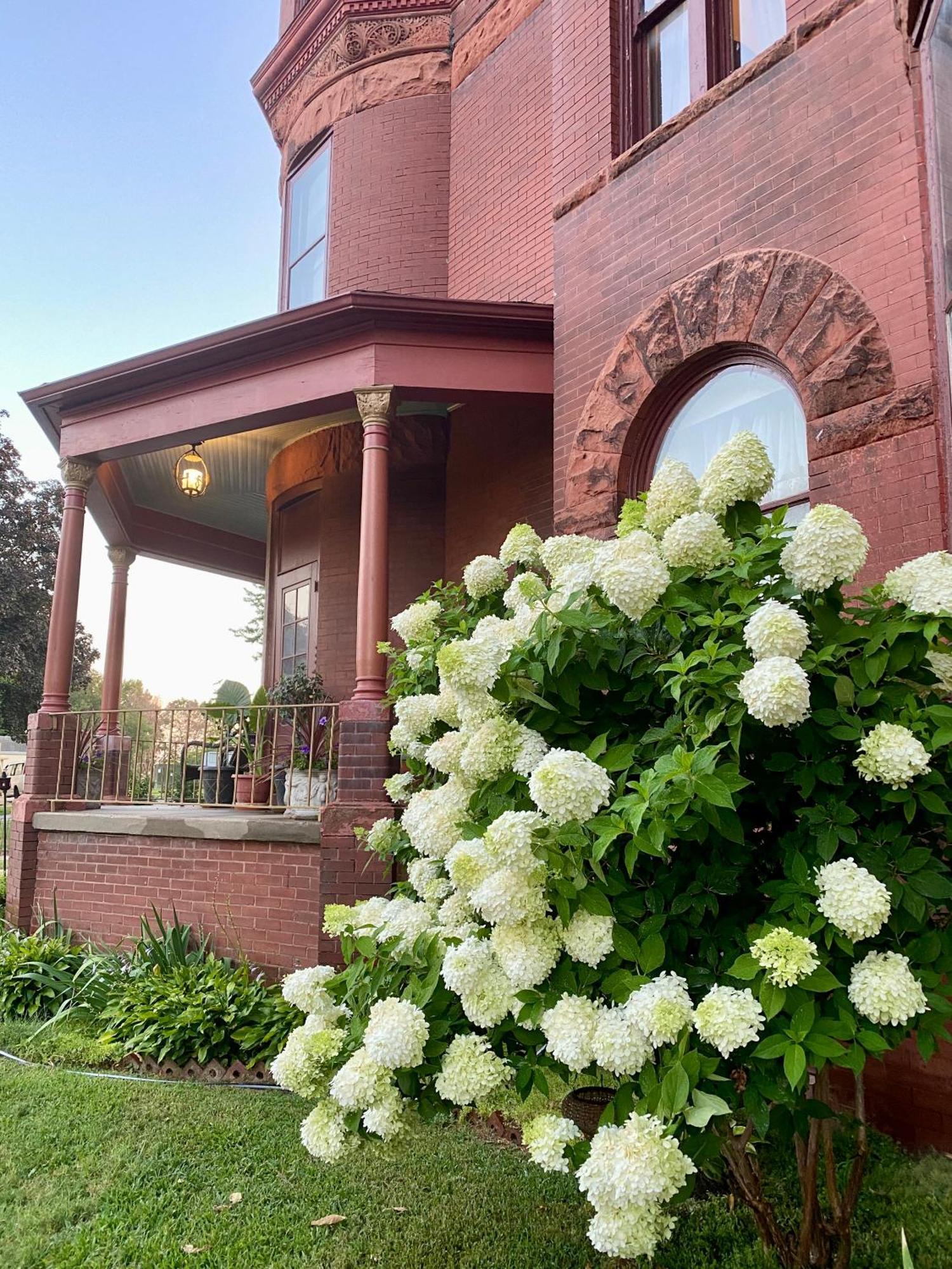 Vineyard Mansion B&B Saint Joseph Esterno foto